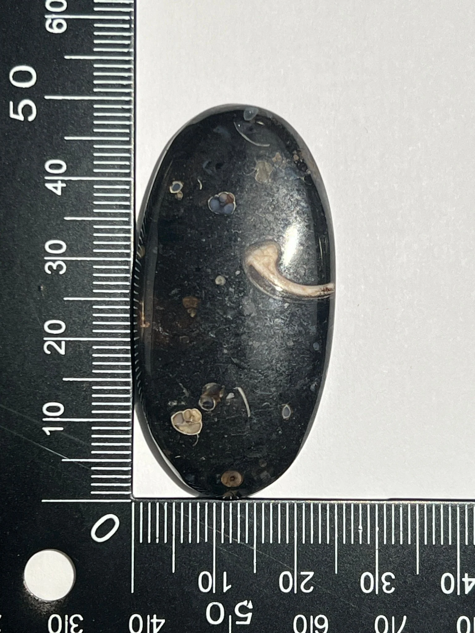 Miniature 1