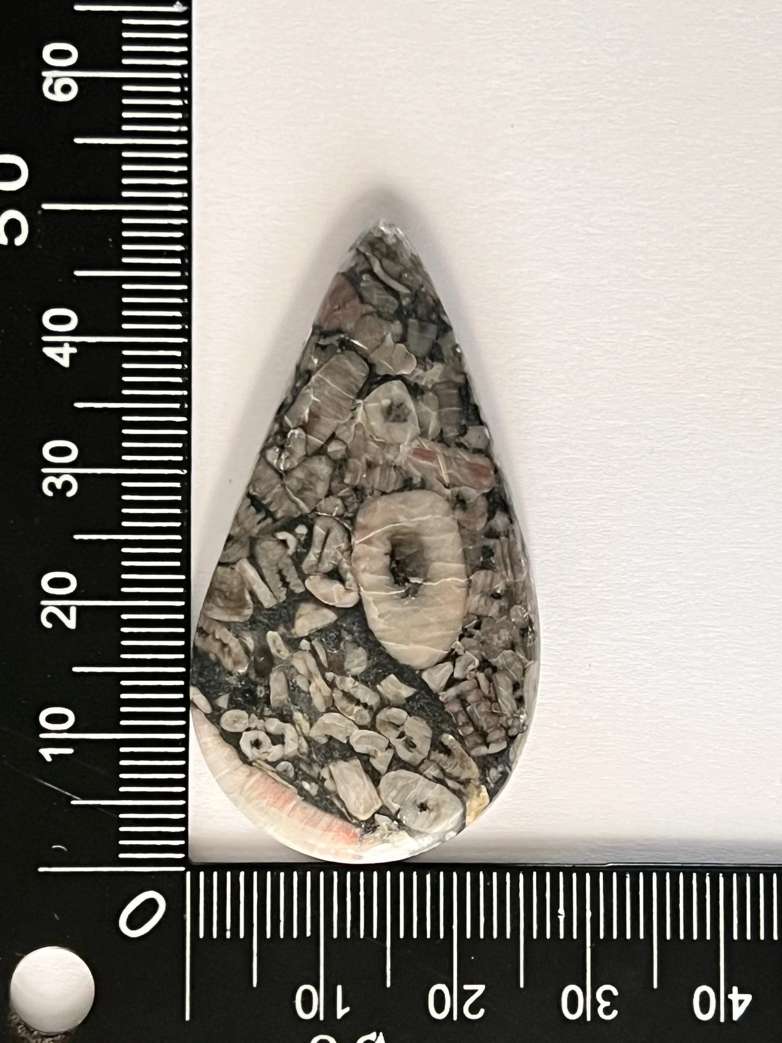Miniature 1