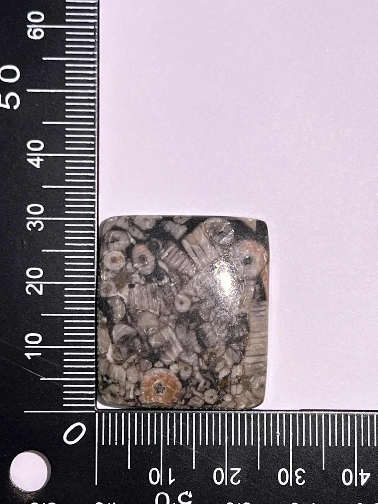Miniature 1