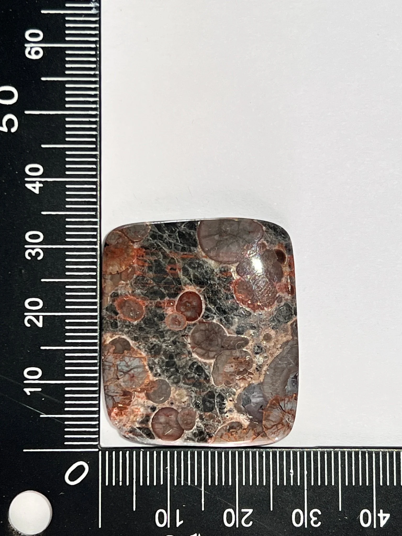 Miniature 1